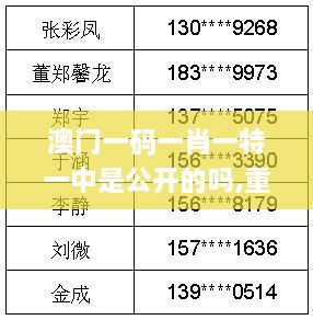 澳门一码一肖一特一中是公开的吗,重点解答探讨现象_OWL2.40.28品牌版