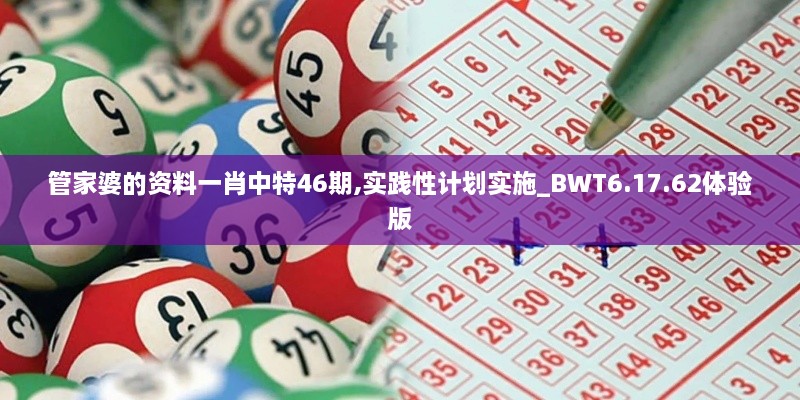 管家婆的资料一肖中特46期,实践性计划实施_BWT6.17.62体验版