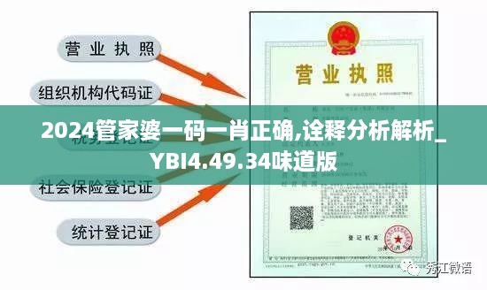 2024管家婆一码一肖正确,诠释分析解析_YBI4.49.34味道版