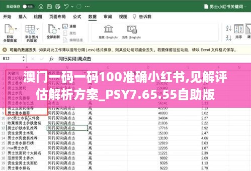 澳门一码一码100准确小红书,见解评估解析方案_PSY7.65.55自助版