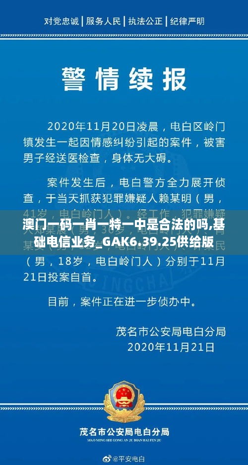 澳门一码一肖一特一中是合法的吗,基础电信业务_GAK6.39.25供给版