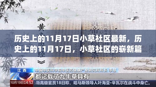 历史上的11月17日，小草社区的新篇章开启