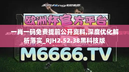 一肖一码免费提前公开资料,深度优化解析落实_RJH2.52.38黑科技版