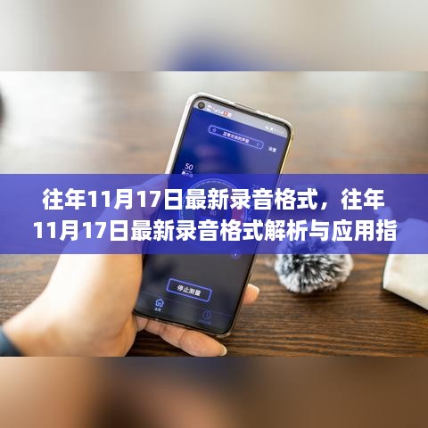 往年11月17日最新录音格式解析与应用指南，全面指南与启示