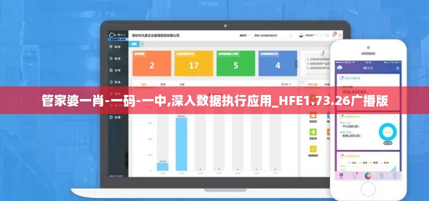 管家婆一肖-一码-一中,深入数据执行应用_HFE1.73.26广播版