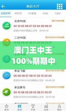 澳门王中王100%期期中一期,可持续执行发展探索_IQX9.13.47硬件版