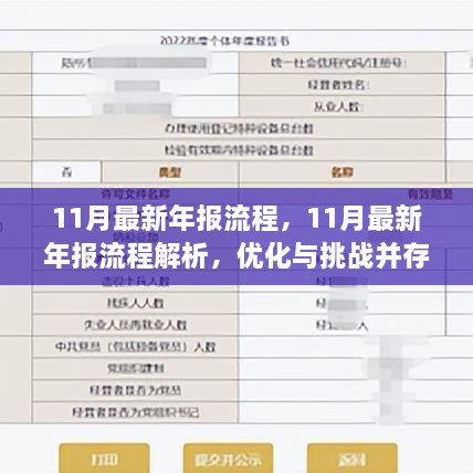 解析与优化并存，11月最新年报流程详解与探讨