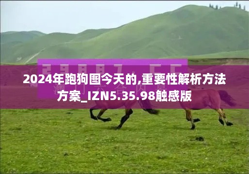 2024年跑狗图今天的,重要性解析方法方案_IZN5.35.98触感版