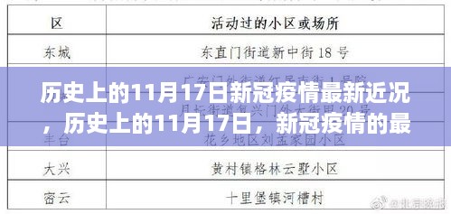 历史上的11月17日，新冠疫情的最新近况与观点分析