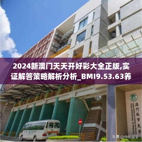 2024新澳门天天开好彩大全正版,实证解答策略解析分析_BMI9.53.63养生版