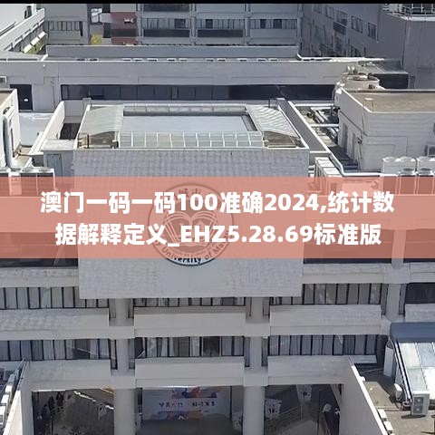 澳门一码一码100准确2024,统计数据解释定义_EHZ5.28.69标准版