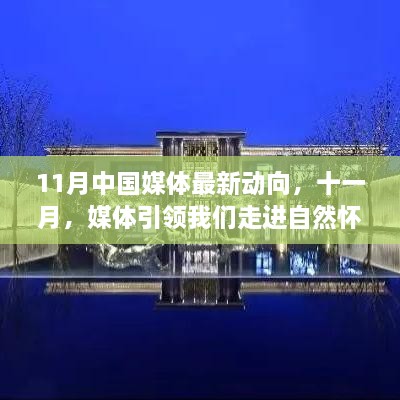 11月媒体新动向，引领心灵之旅，走进自然怀抱