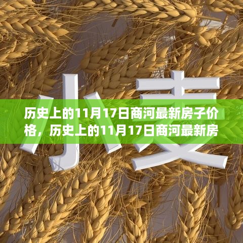 历史上的商河最新房子价格概览及分析，聚焦11月17日数据揭秘房价走势与趋势分析