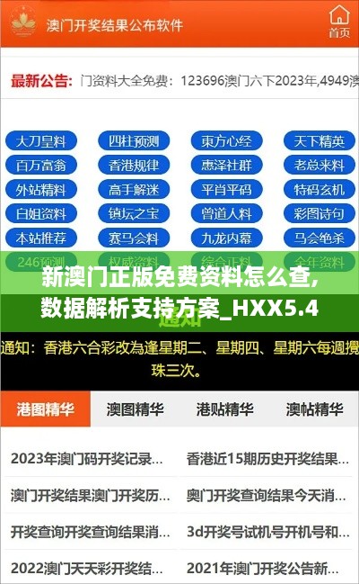 新澳门正版免费资料怎么查,数据解析支持方案_HXX5.40.66结合版