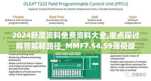 2024新澳资料免费资料大全,重点探讨解答解释路径_MMF7.54.59薄荷版