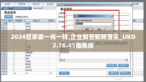 2024管家婆一肖一特,企业解答解释落实_UKD2.76.45幽雅版