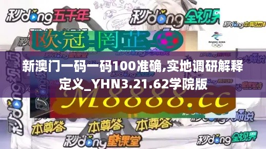 新澳门一码一码100准确,实地调研解释定义_YHN3.21.62学院版