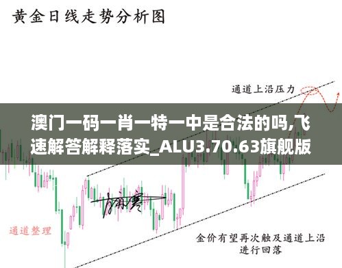 澳门一码一肖一特一中是合法的吗,飞速解答解释落实_ALU3.70.63旗舰版