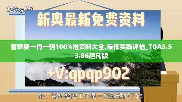 管家婆一肖一码100%准资料大全,操作实践评估_TQA5.53.86超凡版