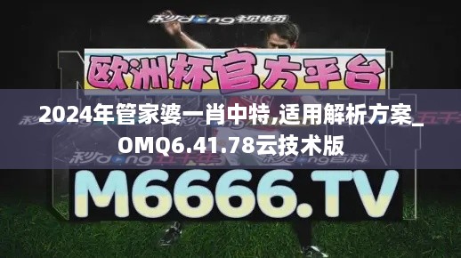 2024年管家婆一肖中特,适用解析方案_OMQ6.41.78云技术版