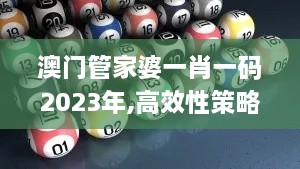 澳门管家婆一肖一码2023年,高效性策略设计_YOL4.19.65奢华版