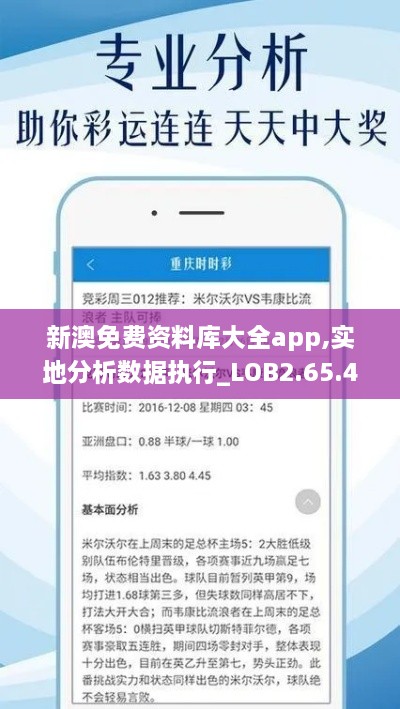 新澳免费资料库大全app,实地分析数据执行_LOB2.65.47智巧版