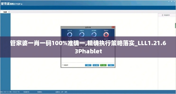 管家婆一肖一码100%准确一,精确执行策略落实_LLL1.21.63Phablet