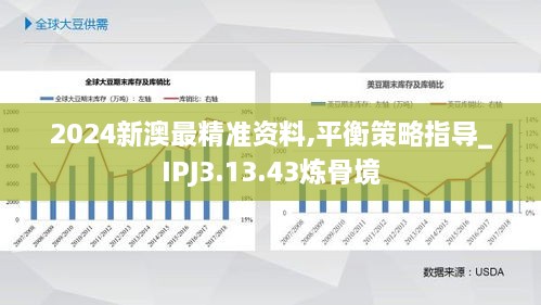 2024新澳最精准资料,平衡策略指导_IPJ3.13.43炼骨境