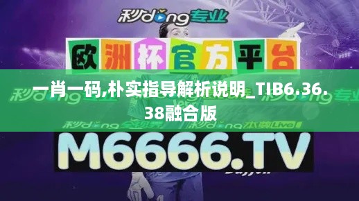 一肖一码,朴实指导解析说明_TIB6.36.38融合版