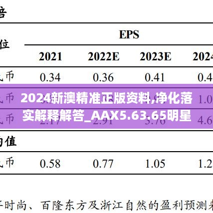 2024新澳精准正版资料,净化落实解释解答_AAX5.63.65明星版