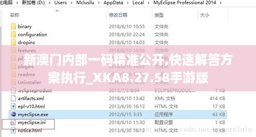 新澳门内部一码精准公开,快速解答方案执行_XKA8.27.58手游版