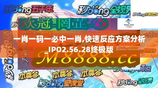 一肖一码一必中一肖,快速反应方案分析_IPO2.56.28终极版