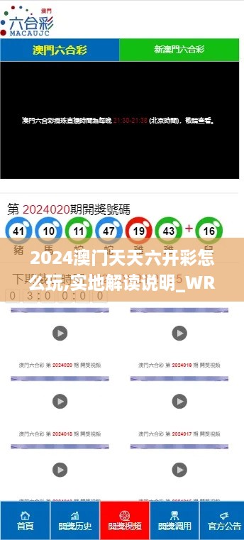 2024澳门天天六开彩怎么玩,实地解读说明_WRW2.65.83探索版