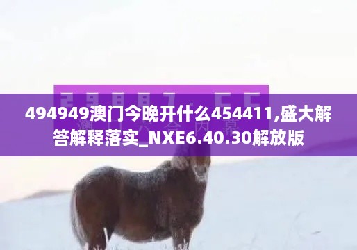 494949澳门今晚开什么454411,盛大解答解释落实_NXE6.40.30解放版