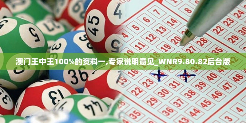 澳门王中王100%的资料一,专家说明意见_WNR9.80.82后台版