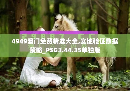 4949澳门免费精准大全,实地验证数据策略_PSG3.44.35单独版