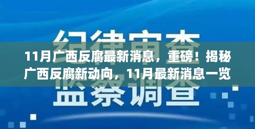 广西反腐新动向揭秘，11月最新消息重磅发布