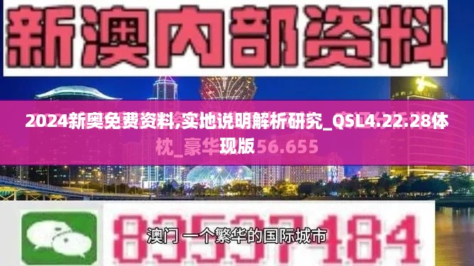 2024新奥免费资料,实地说明解析研究_QSL4.22.28体现版