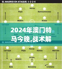 2024年澳门特马今晚,战术解析解答解释策略_PES3.19.45挑战版