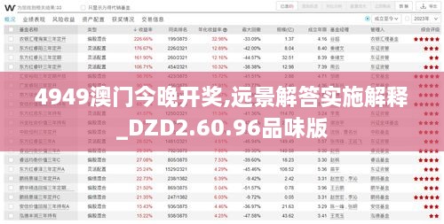 4949澳门今晚开奖,远景解答实施解释_DZD2.60.96品味版