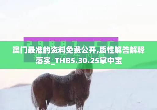 澳门最准的资料免费公开,质性解答解释落实_THB5.30.25掌中宝