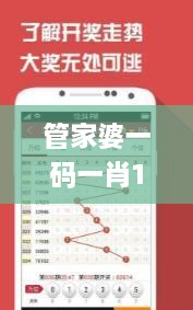 管家婆一码一肖100准,稳固解答解释落实_WGG4.73.97简便版