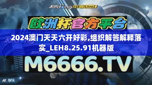 2024澳门天天六开好彩,组织解答解释落实_LEH8.25.91机器版