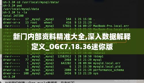 新门内部资料精准大全,深入数据解释定义_OGC7.18.36迷你版