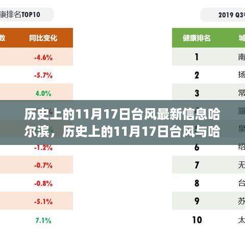 追寻内心的宁静与自然的魅力，历史上的11月17日台风与哈尔滨的奇妙之旅最新信息回顾