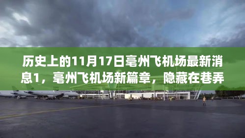 毫州飞机场新篇章，11月17日最新消息与独特风味探索之旅