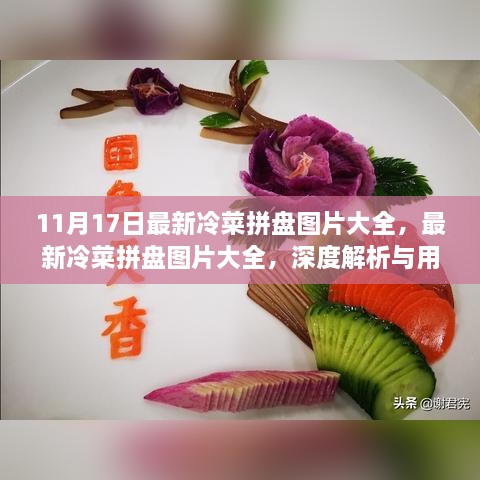 最新冷菜拼盘图片大全深度解析与用户体验报告（11月更新版）