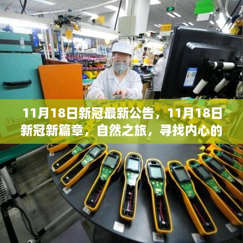 11月18日新冠最新公告，自然之旅，探寻内心的宁静港湾，开启抗疫新篇章