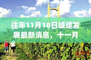 往年11月18日城建发展新动态，盛开中的城市之花