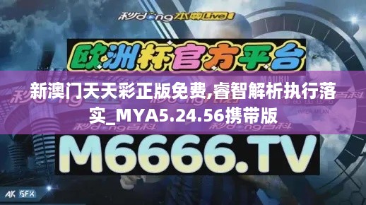 新澳门天天彩正版免费,睿智解析执行落实_MYA5.24.56携带版